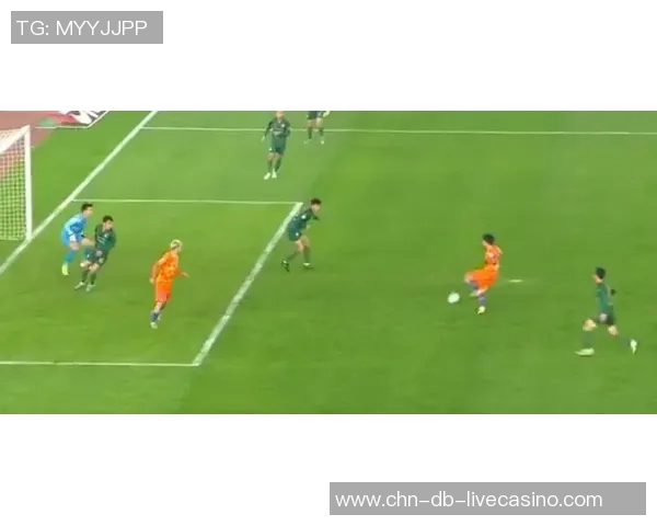 南特足球俱乐部的辉煌历程与未来展望：一支球队的梦想与坚持