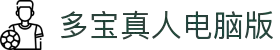 多宝真人电脑版下载平台 - 稳定流畅的游戏体验